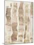 Wood Mount