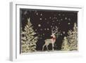 White Frame