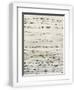 Chelsea White
