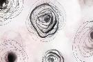 Just the Print