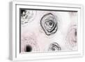 White Frame