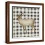 Brown Frame