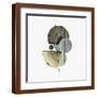 Brown Frame