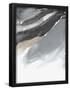 Essential Black