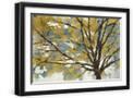 Black Frame