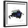 Chelsea Black