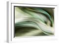 White Frame