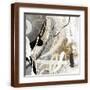 Brown Frame