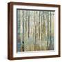 Brown Frame