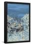 Essential Black