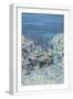 White Frame