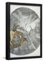 Essential Black