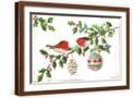 Brown Frame