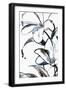 Black Frame