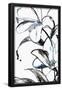 Essential Black