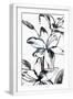 White Frame