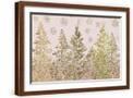 Brown Frame