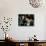 Pianist Liberace-David Mcgough-Premium Photographic Print displayed on a wall