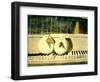 Piano Birds-Thomas MacGregor-Framed Giclee Print