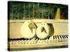 Piano Birds-Thomas MacGregor-Stretched Canvas