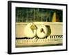 Piano Birds-Thomas MacGregor-Framed Giclee Print