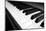 Piano Keyboard-Gudella-Mounted Photographic Print