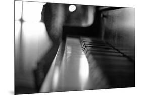 Piano Keys b/w-null-Mounted Photo