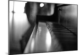 Piano Keys b/w-null-Mounted Photo