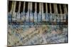 Piano Keys-Dan Meneely-Mounted Art Print