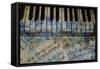 Piano Keys-Dan Meneely-Framed Stretched Canvas