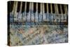 Piano Keys-Dan Meneely-Stretched Canvas