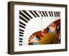 Piano man, 2001-Timothy Nathan Joel-Framed Giclee Print