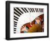 Piano man, 2001-Timothy Nathan Joel-Framed Giclee Print