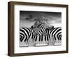 Piano Peace-Thomas Barbey-Framed Premium Giclee Print