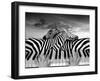 Piano Peace-Thomas Barbey-Framed Giclee Print