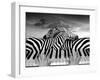 Piano Peace-Thomas Barbey-Framed Giclee Print