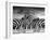 Piano Peace-Thomas Barbey-Framed Giclee Print