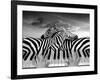 Piano Peace-Thomas Barbey-Framed Giclee Print