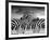 Piano Peace-Thomas Barbey-Framed Giclee Print