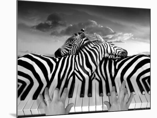 Piano Peace-Thomas Barbey-Mounted Giclee Print