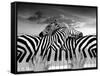 Piano Peace-Thomas Barbey-Framed Stretched Canvas