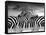 Piano Peace-Thomas Barbey-Framed Stretched Canvas