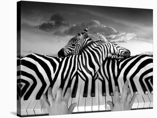 Piano Peace-Thomas Barbey-Stretched Canvas