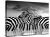 Piano Peace-Thomas Barbey-Stretched Canvas