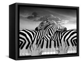 Piano Peace-Thomas Barbey-Framed Stretched Canvas