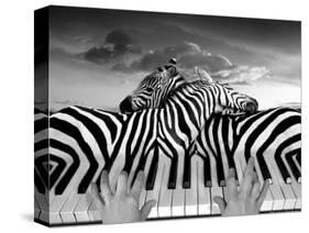 Piano Peace-Thomas Barbey-Stretched Canvas