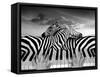 Piano Peace-Thomas Barbey-Framed Stretched Canvas