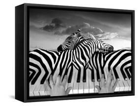 Piano Peace-Thomas Barbey-Framed Stretched Canvas