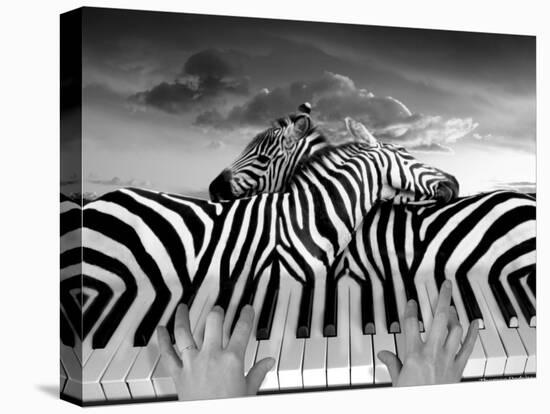 Piano Peace-Thomas Barbey-Stretched Canvas