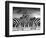 Piano Peace-Thomas Barbey-Framed Giclee Print